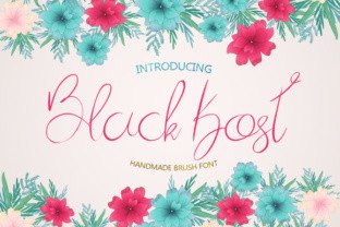 Black Kost Typeface for Modern Web Design