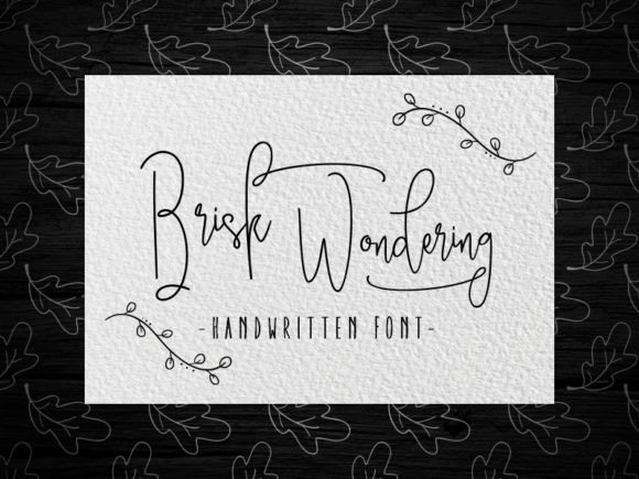 Brisk Wondering Font: A Review for Editorial Design