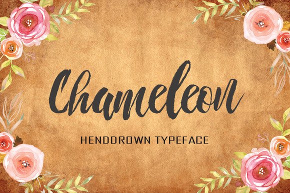 Chameleon Typeface: A Designer’s Real-World Review