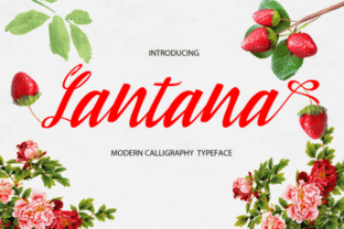 Lantana: A Designer’s Honest Review of This Script Amp Gem