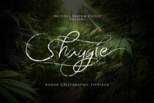 Shaggie Font Review: A Rough Script for Bold Brands