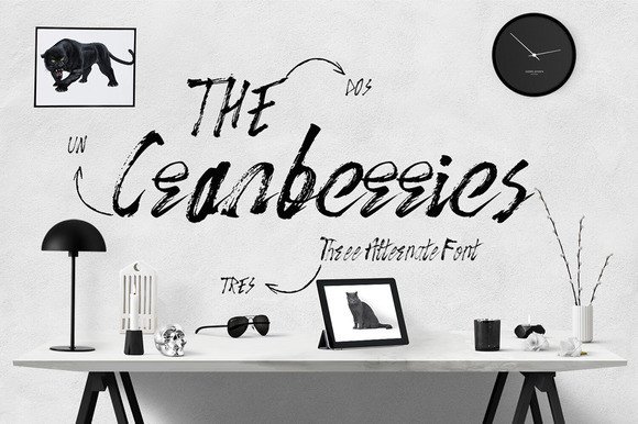 The Cranberries: A Warm Typeface for Branding