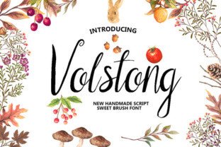 Volstong: The Handmade Script Font for Bold Branding