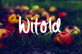 Witold: The Handbrushed Font for Scroll-Stopping Campaigns