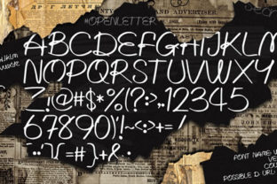 Written Lies Typeface: A Polished Script for Branding